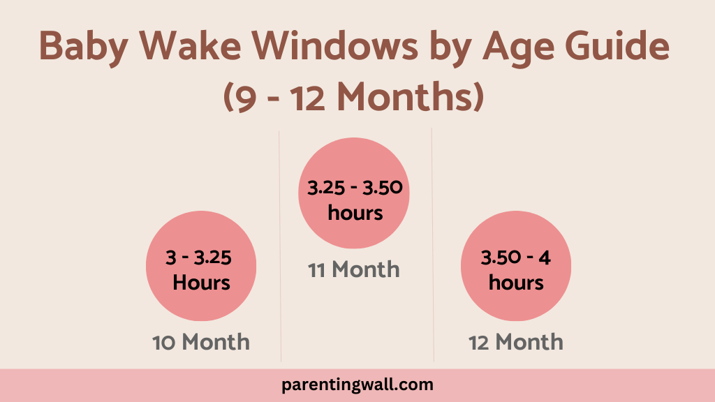 9 to 12 months wake windows